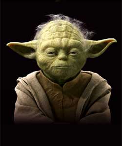 Yoda - Exhibtion picture
